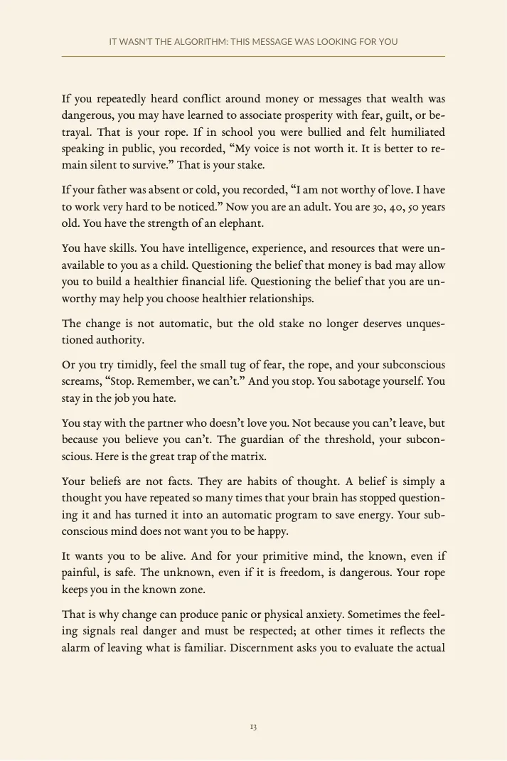 Interior preview page from It Wasn't the Algorithm